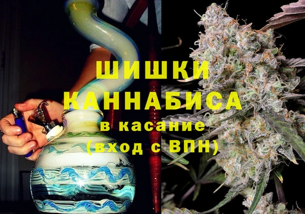 крисы Абаза