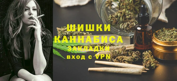 крисы Абаза