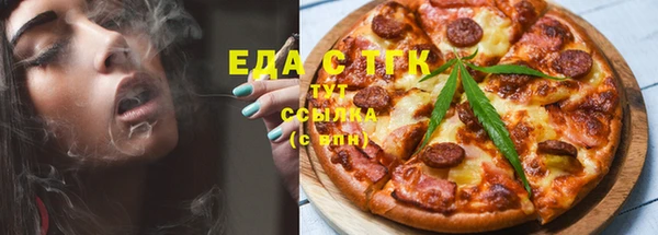 крисы Абаза